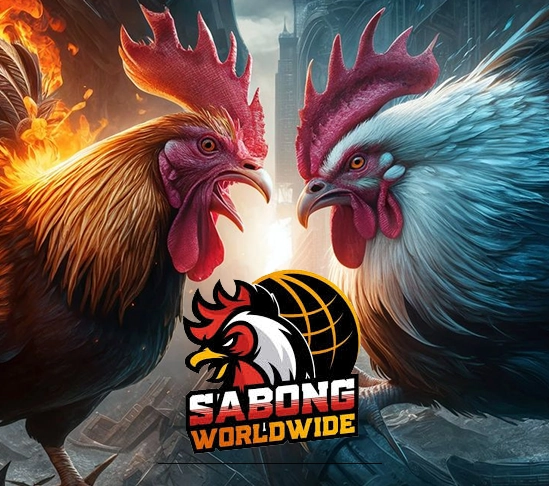 ການຕີໄກ່